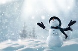 Brewer's Approach to Snow Days, 2020-2021