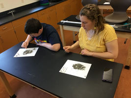 Science Club Fun!