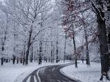 Brewer School Department closed